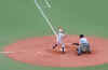 2006natsu-04.jpg (37778 バイト)