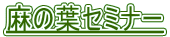 ���̗t�Z�~�i�[ 