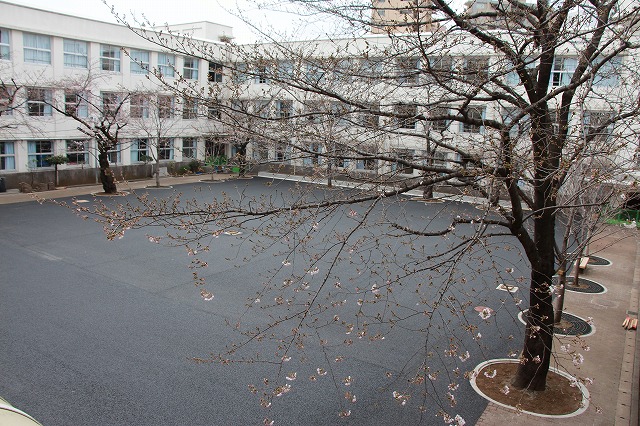 中庭の様子